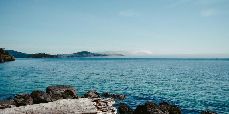 新芮表单功能展示