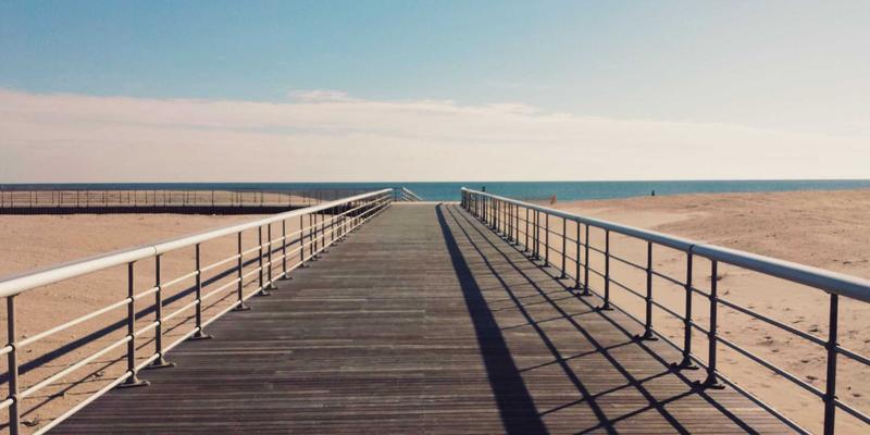 新芮表单功能展示