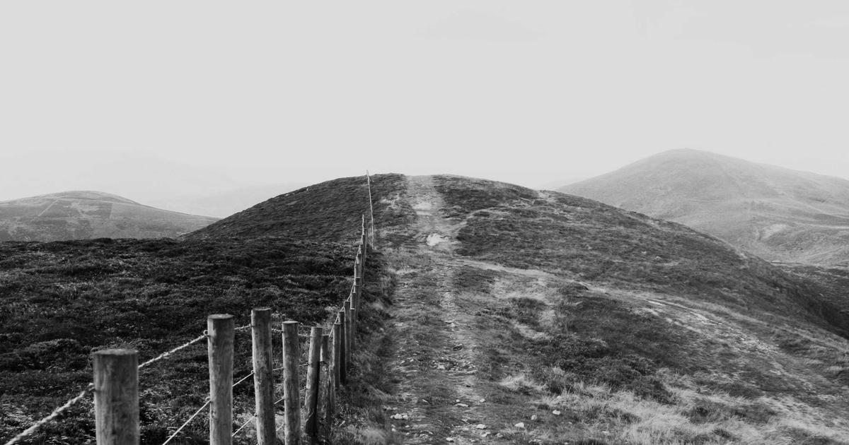 4个新芮表单使用技巧，提升工作效率