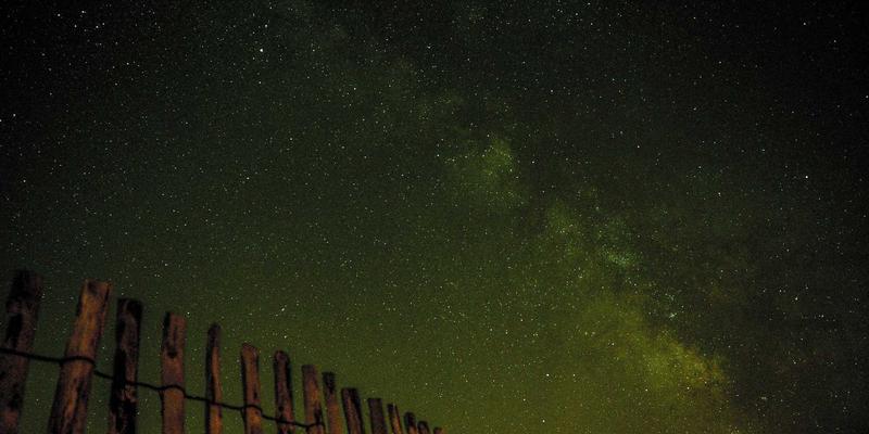 新芮表单功能展示