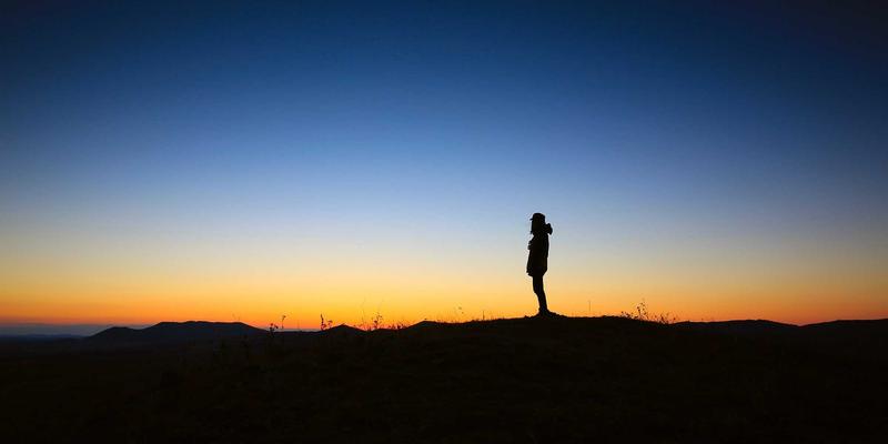 新芮表单功能展示