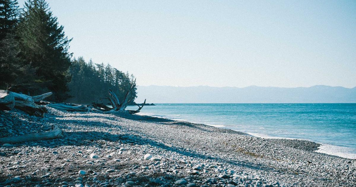 教育行业如何选择合适的表单工具