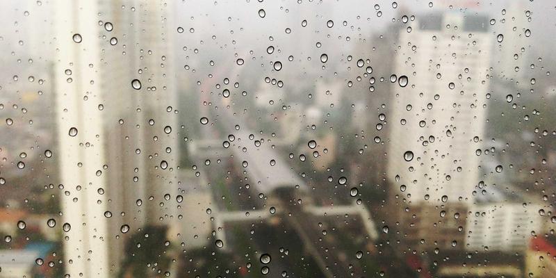 新芮表单功能展示