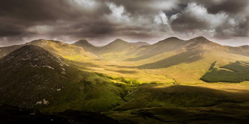 新芮表单功能展示