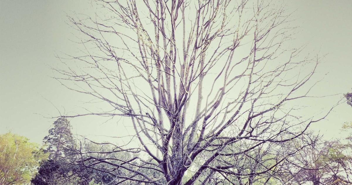 如何利用自定义主题优化工作流程