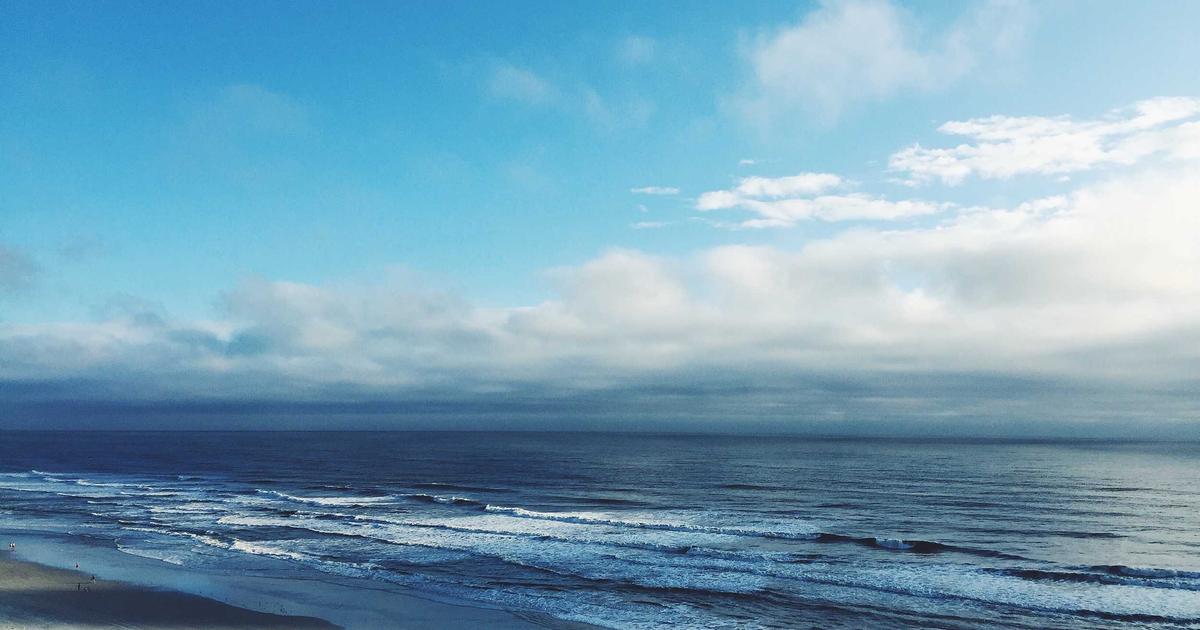 推荐8款实用表单模板（详解）