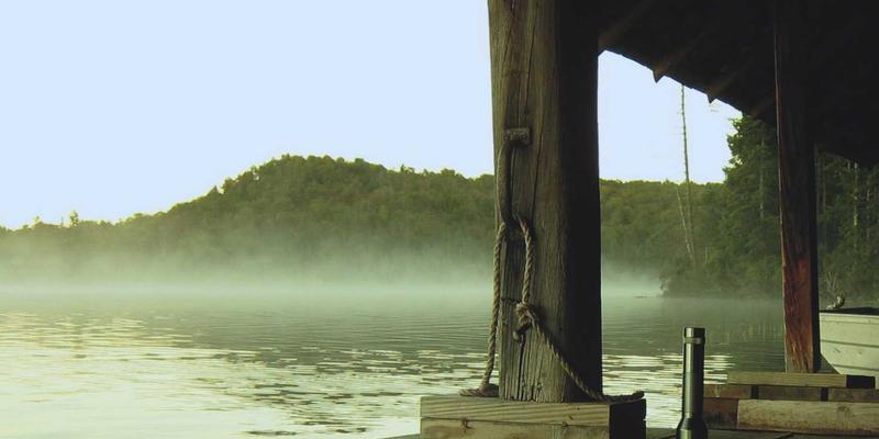 新芮表单功能展示