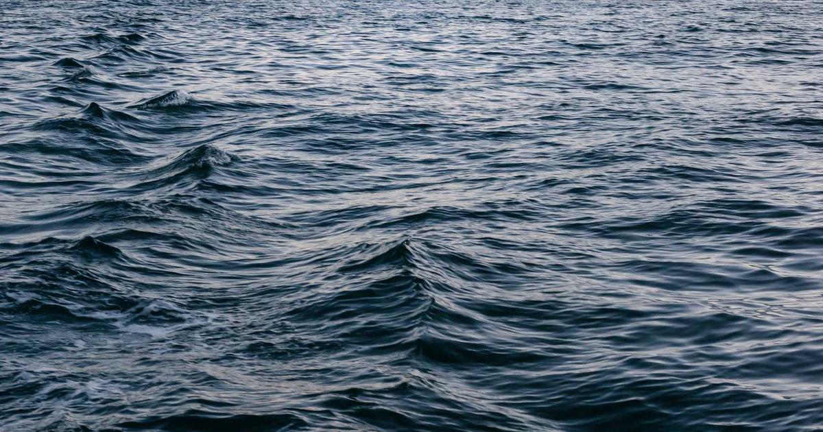 如何确保表单数据的安全性（2024版）