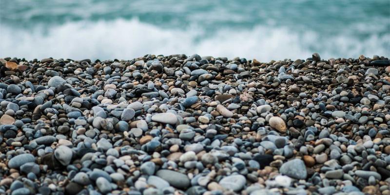 新芮表单功能展示