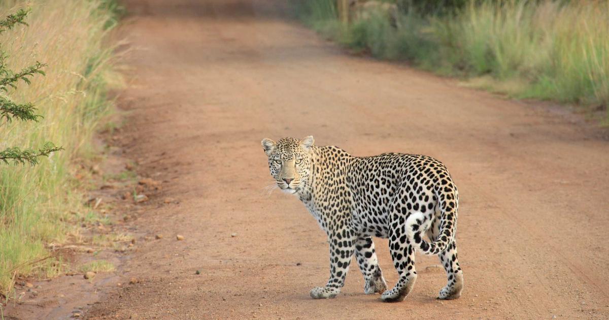 热门表单模板推荐与应用场景