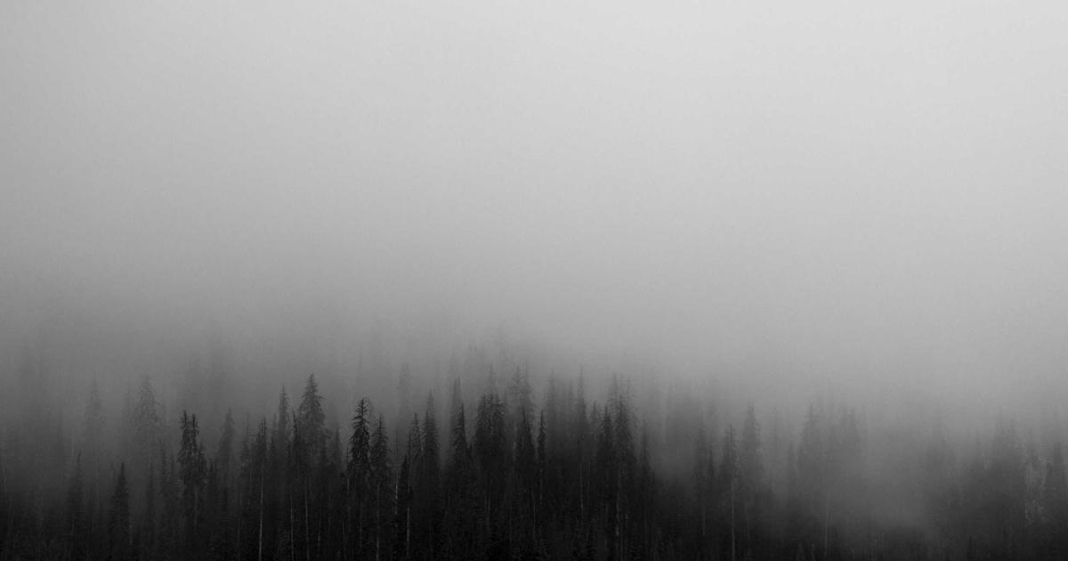 如何避免新芮表单使用中的常见错误（详解）