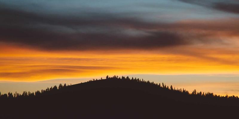 新芮表单功能展示