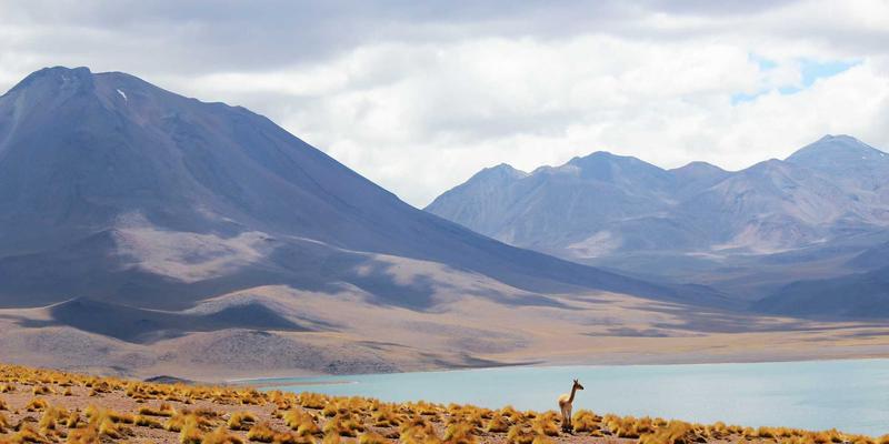 新芮表单功能展示