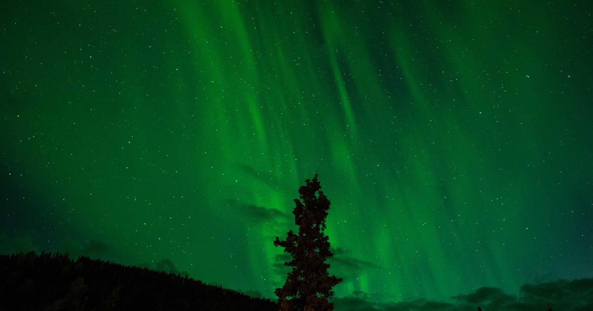 如何确保表单数据的安全性 - 第20260402期