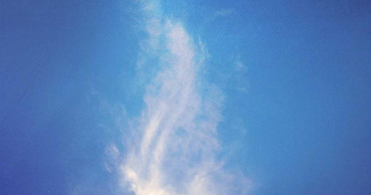 新芮表单功能详解与应用场景（详解）